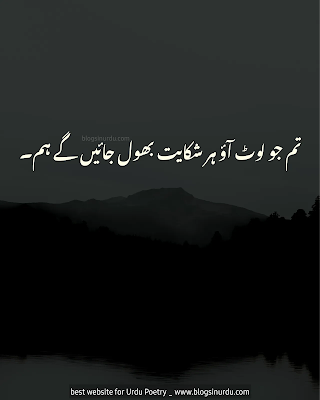 Best 60 One Line Urdu Poetry, Quotes, Captions