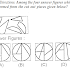 Give the Answer of diagrametic representation ?