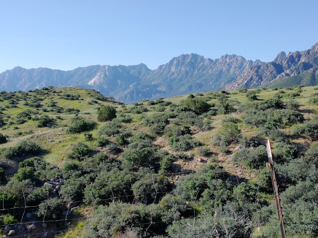 San Agustin Pass, New Mexico. August 2021. Credit: Mzuriana.