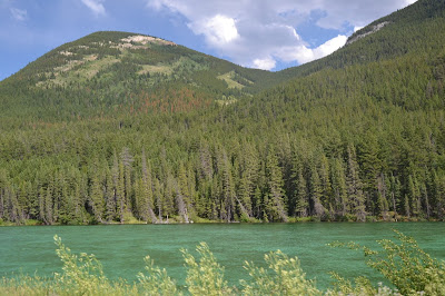 road from Jasper to Hinton, droga z Jasper do Hinton