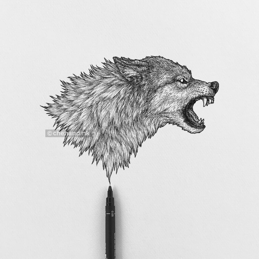 06-Snarling-wolf-Animal-Drawings-Chen-Naje-www-designstack-co