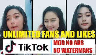 TikTok Apk Mod Tanpa Iklan No Watermaks