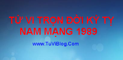 TU VI TRON DOI KY TY 1989