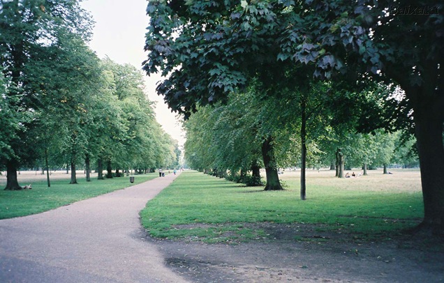 park