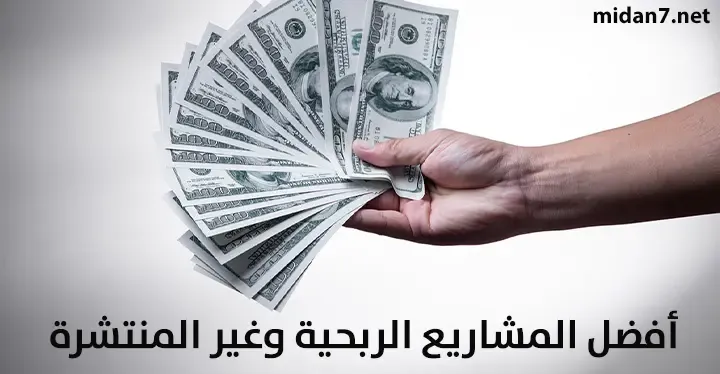 أفضل المشاريع الناجحة والنادرة