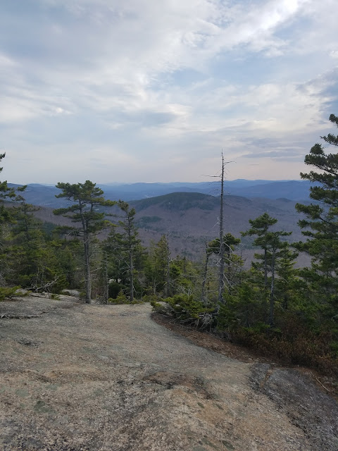 bushwhack, cone mountain, Dickey Mountain, Fischer Mountain, grand traverse, Millbrook Road, mount tecumseh, rock slabs, sandwich range, Thornton, Welch Mountain, Welch-Dickey Loop, 