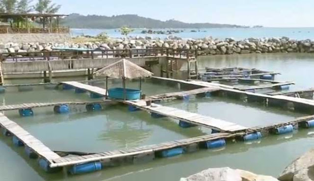 MENIKMATI KEINDAHAN PANTAI TONGACI DI KABUPATEN BANGKA