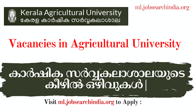  കാർഷിക സർവ്വകലാശാലയുടെ കീഴിൽ ഒഴിവുകൾ|Vacancies under Agricultural University