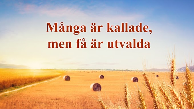 Många är kallade, men få är utvalda