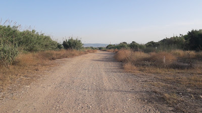 Tarragona a Cambrils seguint el GR-92, cami paral·lel al riu Francolí entre Tarragona i Constantí