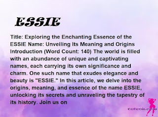 meaning of the name "ESSIE"