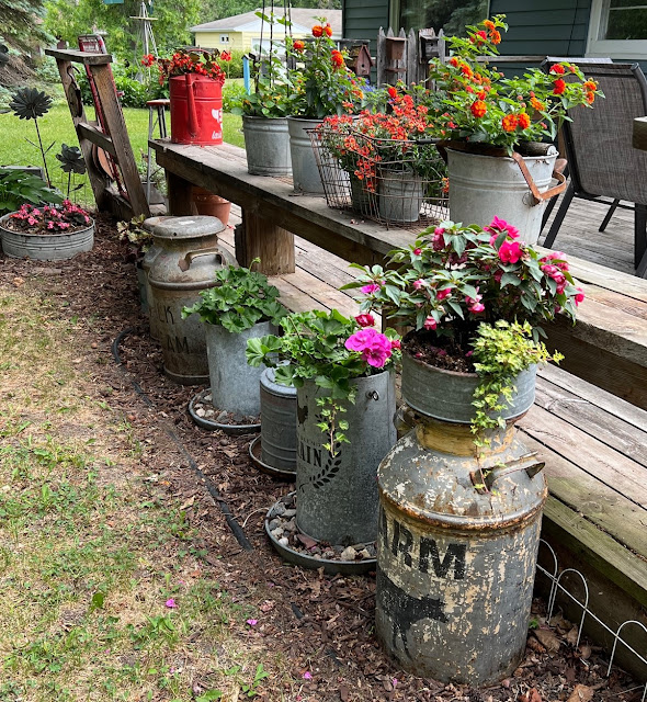 Photo of container gardens and junk along the deck.