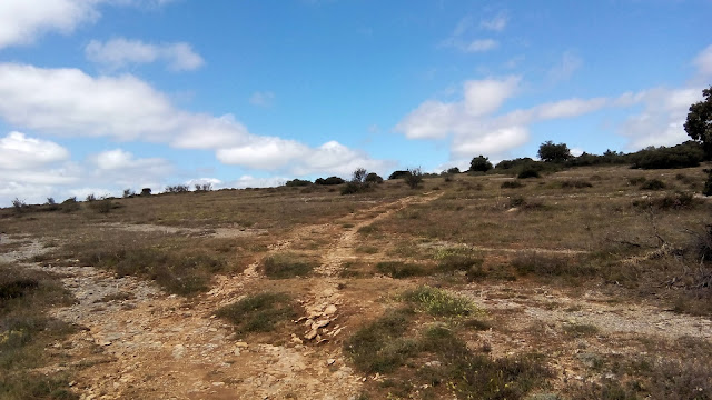 Ojo Guareña MTB