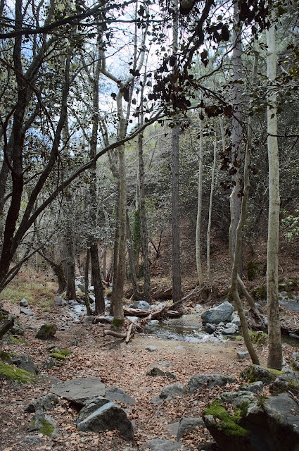 Part of the trail in Caledonian waterfalls at Mount Troodos, Cyprus. The trail is along the small river.