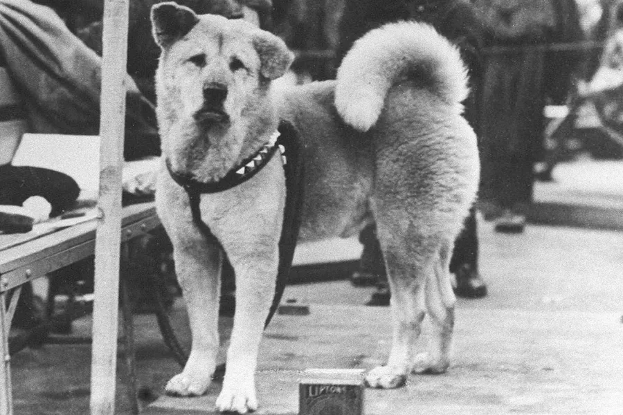 hachiko-pelicula