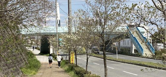 歩道橋