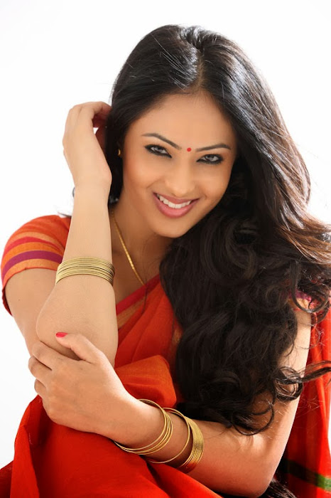 nikesha patel in saree glamour  images