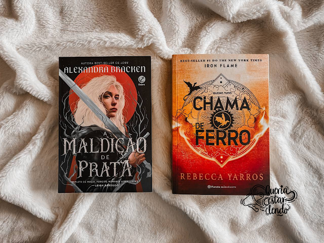Bookhaul da Bienal do Livro de 2024