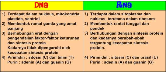 BIOLOGI-BDA