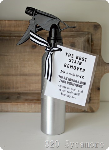 best stain remover gift idea