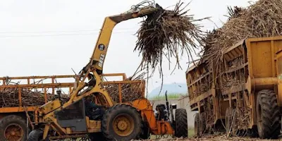 Sugar Millers in Western Kenya. PHOTO | BMS