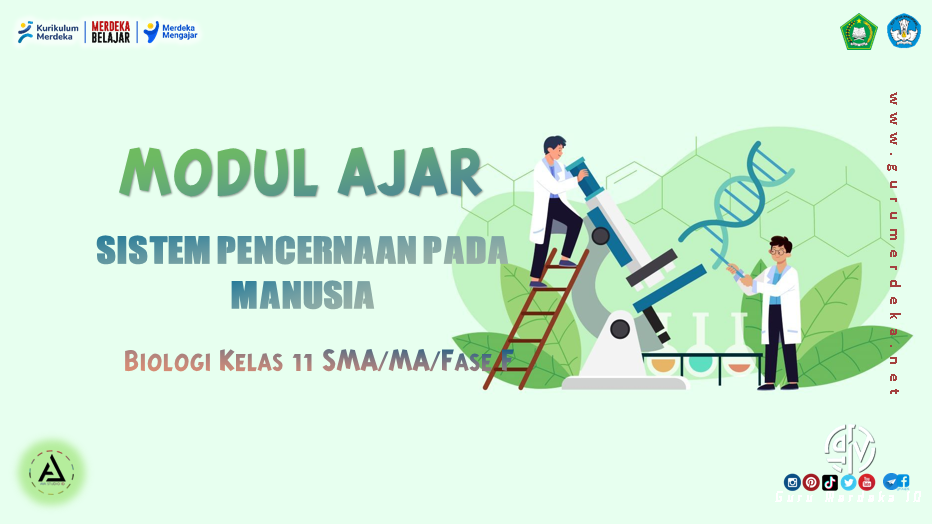 Modul Ajar "Sistem Pencernaan pada Manusia" - Biologi Kelas 11 Fase F SMA/MA Kurikulum Merdeka