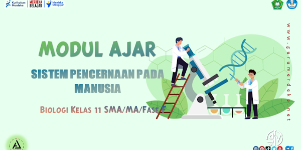 Modul Ajar "Sistem Pencernaan pada Manusia" - Biologi Kelas 11 Fase F SMA/MA Kurikulum Merdeka