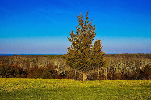 Weir-Farm-and-Turkey-Hill-Hingham-MA-Travel-the-East