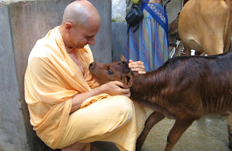 La compassione dei vegetariani
