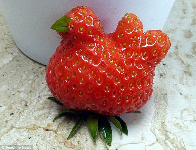 animal figure made out of  strawberry