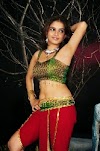 Sheena Shahabadi Hot Navel Pics