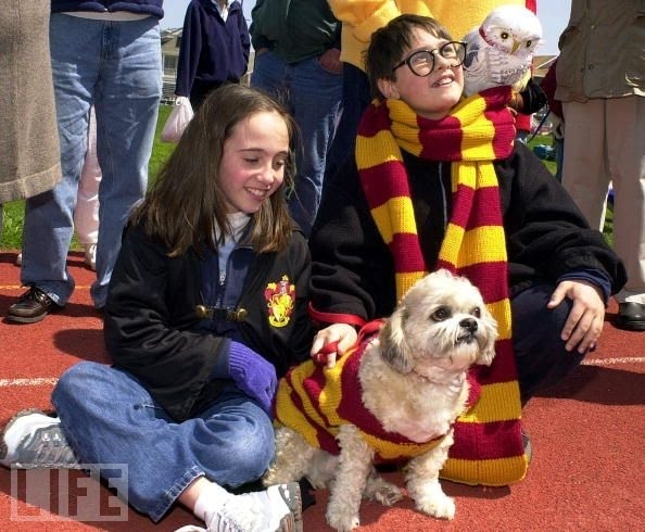 mascotas harry potter