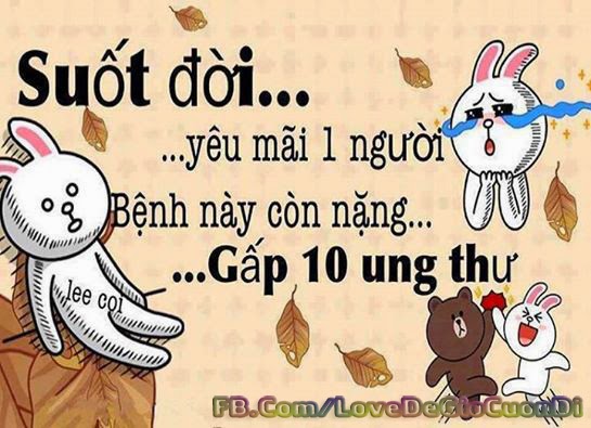 sua may tinh gia re 