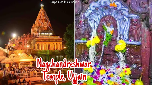 नागचंद्रेश्वर मंदिर, उज्जैन || Nagchandreshwar Temple, Ujjain ||