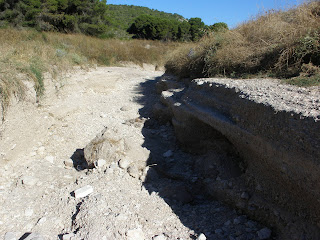 camino arrasado María de Huerva