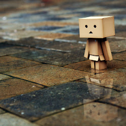 Wallpaper Danbo Box @ digaleri.com