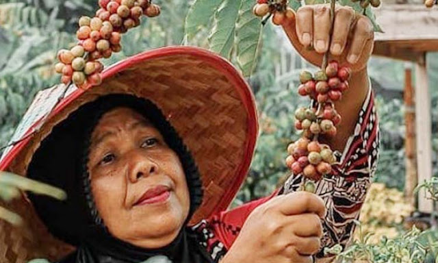 Menikmati Aroma Surga di Desa Rigis Jaya, sebuah Pesan dari Secangkir Kopi