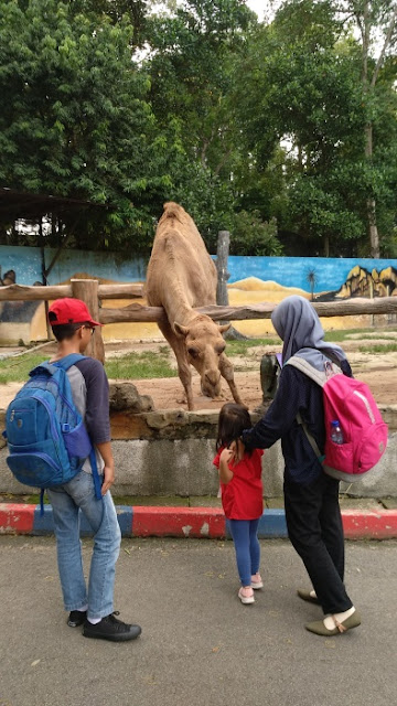 Zoo Johor