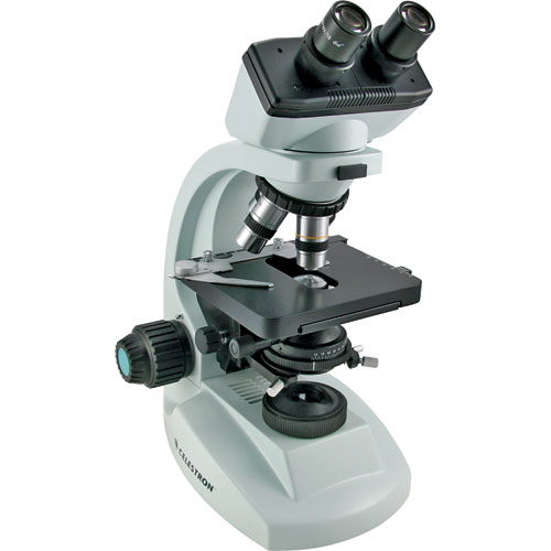 Gambar Microskop Berwarna-Warni Biru Pink dll - ANALISIS 