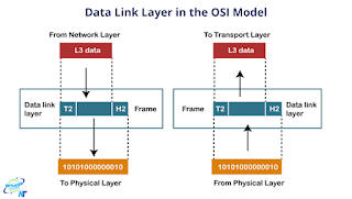 Understanding the Data Link Layer in the OSI Model: Key Functions and Importance