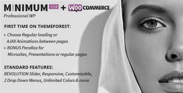Vinimum version 2.2.2 - Professional wordpress theme