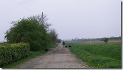 Chris with the dogs.