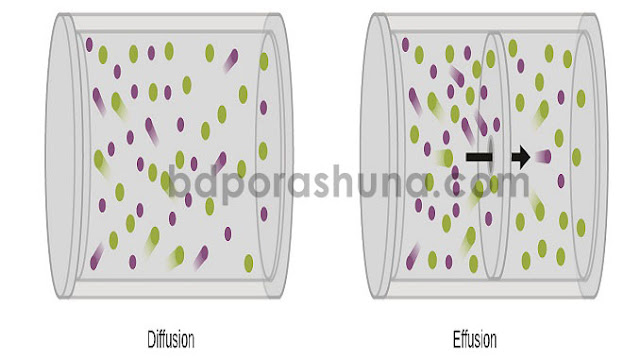 গ্যাসের ব্যাপন ও নিঃসরণ