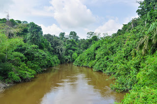 река республики Конго