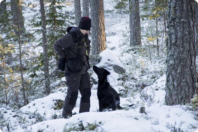 Tra╠êning vid skjutbanan 20