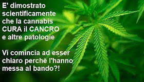 canapa_uccide_cancro_studi