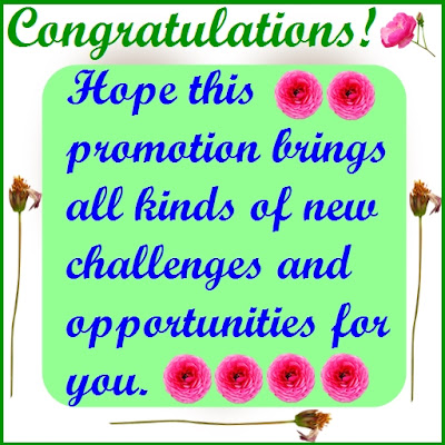 Congratulations! Hope this promotion brings you all kinds of challenges and opportunities for you.