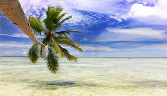 PULAU KALEDUPA, SURGA TERSEMBUNYI DI WAKATOBI