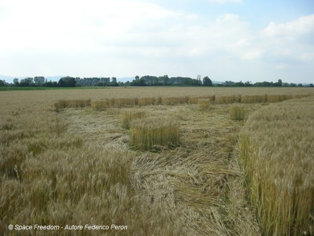 http://silentobserver68.blogspot.com/2011/06/crop-circle-2011-una-strepitosa.html