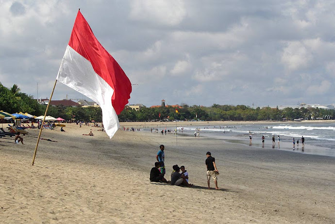 Bandera en la playa